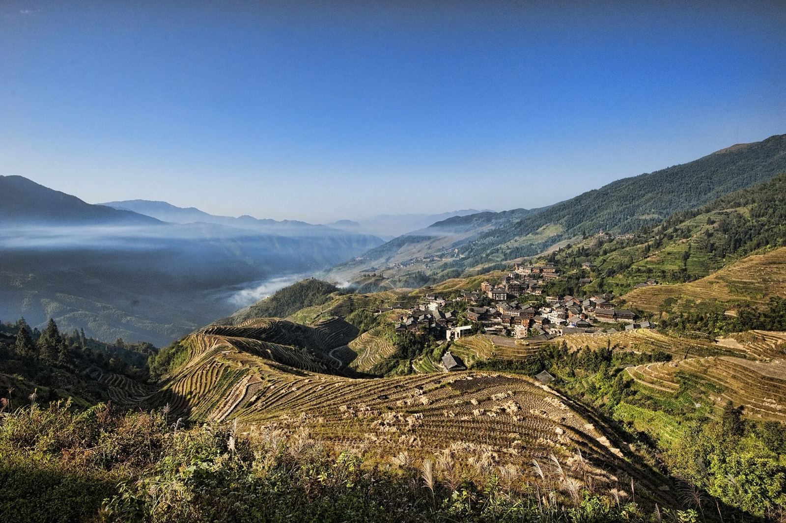 Longji rice terraces and a Yao village, private car from Guilin