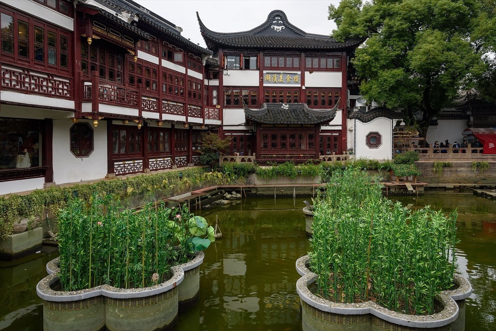 French Concession lanes: plane trees, shikumen houses and the city's best coffee, photo 4